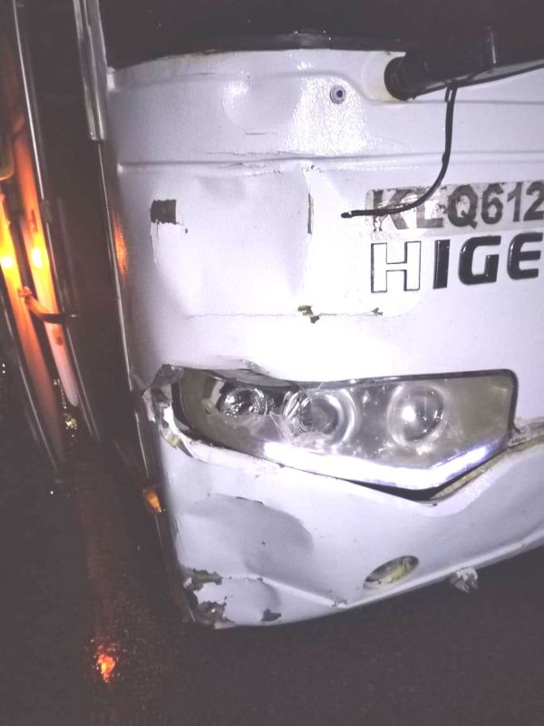 Автобус насмерть сбил пешехода в&nbsp;Воронежской области