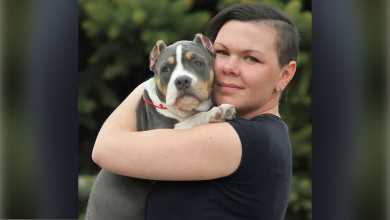 «Подходящего жениха нашли аж в Венгрии»: заводчица собак рассказала о секретах профессии