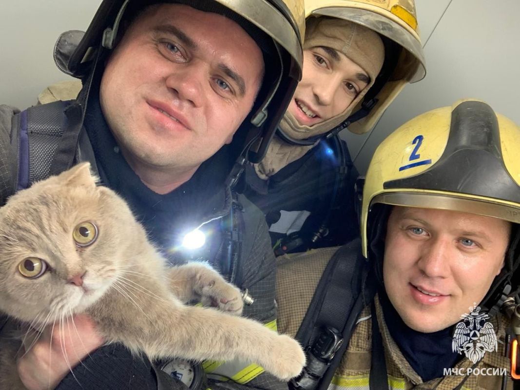 Трёх человек и&nbsp;кота спасли из&nbsp;пожара в&nbsp;Воронеже