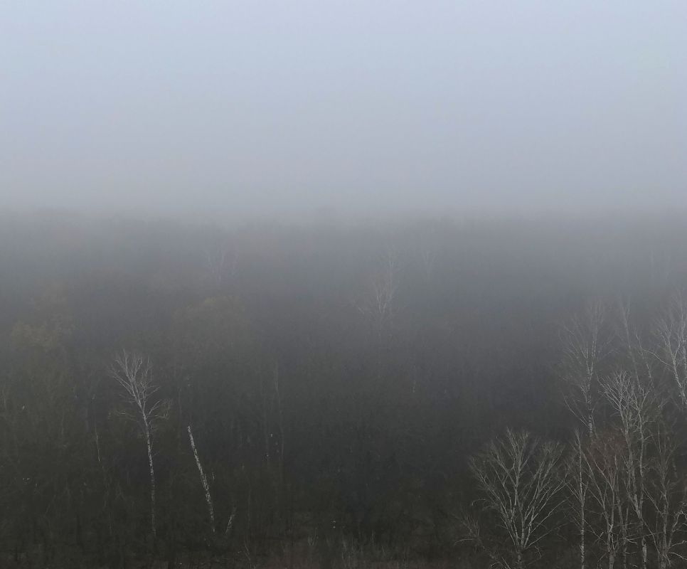 Туман 2023 отзывы. Плотный туман. И снова туман. Туман в Москве. Холодная ночь окутала местные поля плотным туманом.