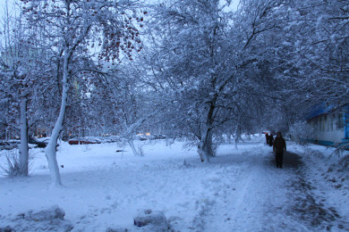 Прогноз погоды в Воронеже на субботу, 27 января