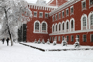 Прогноз погоды в Воронеже на воскресенье, 28 января