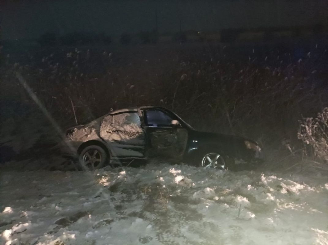 Машина вылетела с&nbsp;дороги и&nbsp;врезалась в&nbsp;дерево в Воронежской области: есть пострадавшая