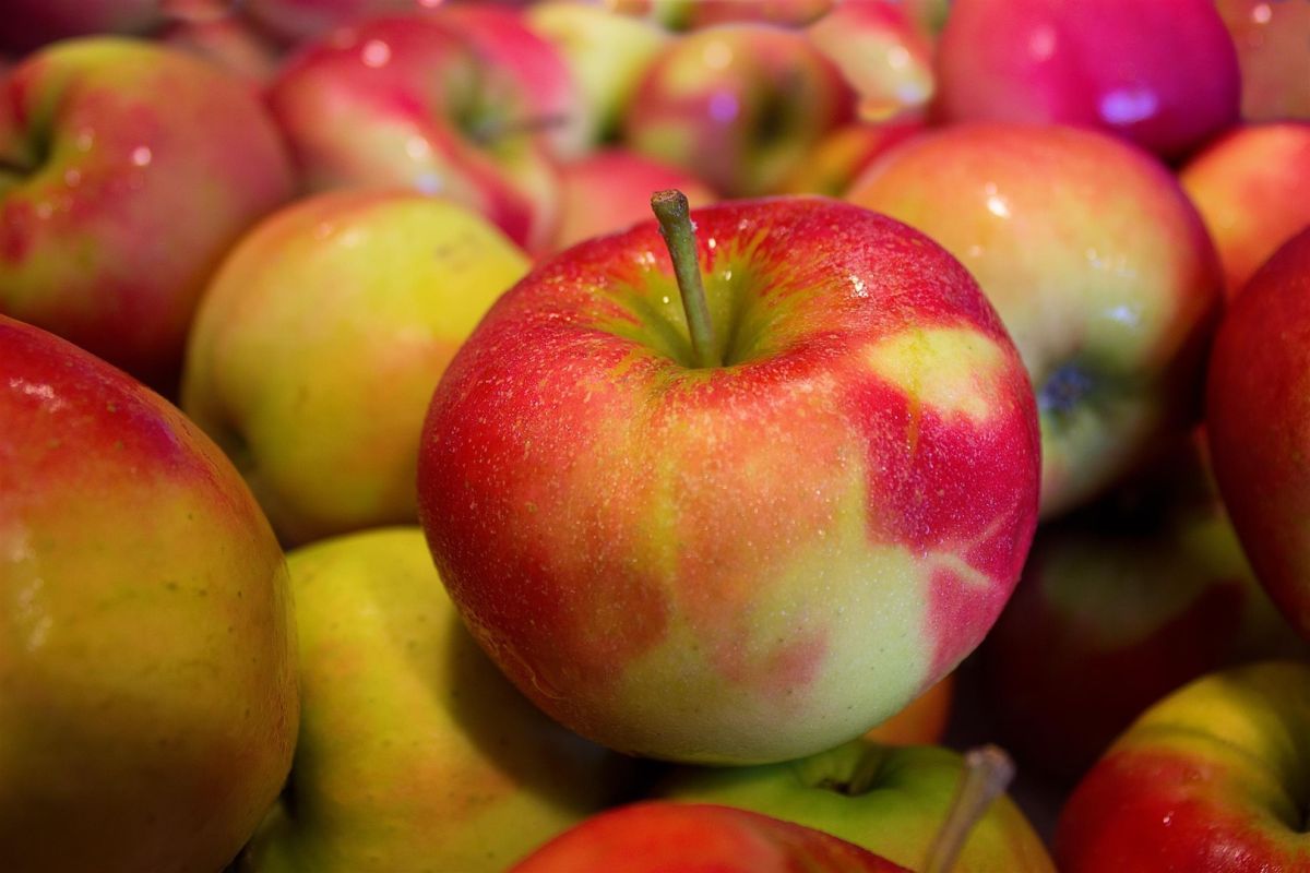 Шесть человек пострадали из-за падения ящиков с яблоками на воронежском предприятии&nbsp;