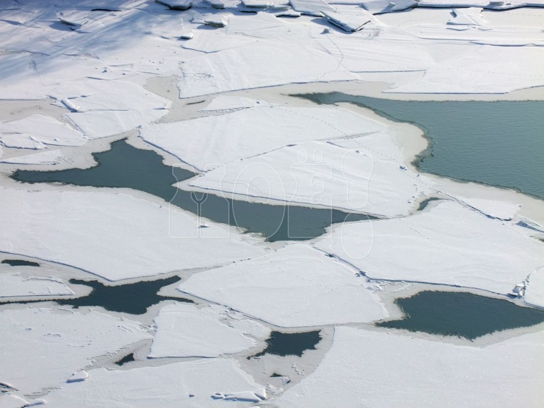 Двое рыбаков перебрали со&nbsp;спиртным и&nbsp;замёрзли на&nbsp;реке Воронеж