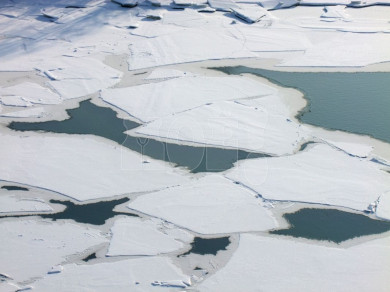 Двое рыбаков перебрали со спиртным и замёрзли на реке Воронеж