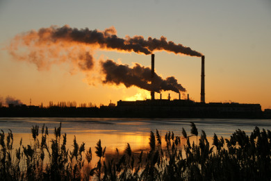 Жители воронежского райцентра страдают от гари из-за сожжения погибших птиц