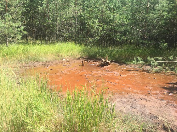 Администрацию воронежского райцентра обязали выплатить почти 4 млн за ущерб почве