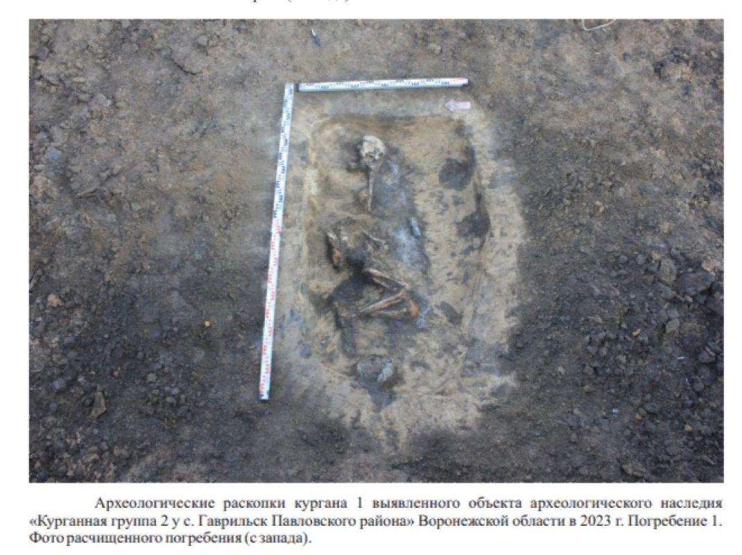 Три древних погребения бронзовой эпохи обнаружили в&nbsp;Воронежской области