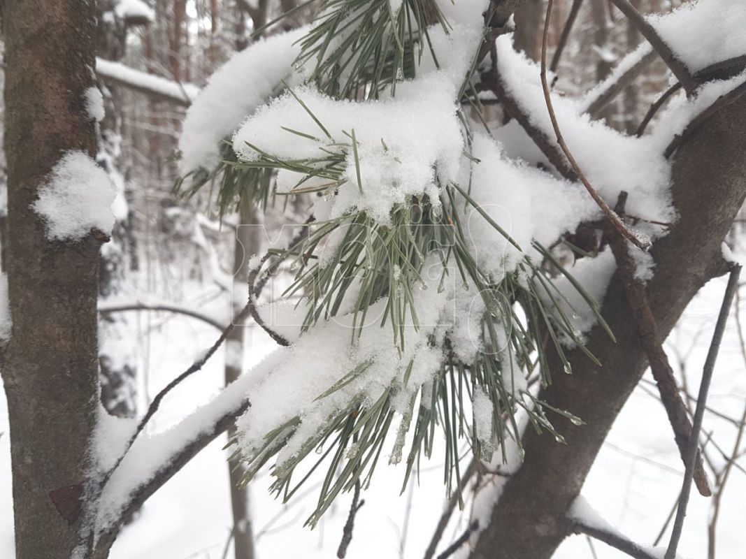 прогноз погоды калач на дону. погода калач воронежской гидрометцентр. погода. гидрометцентр москва. погода в волгограде на 10 дней.