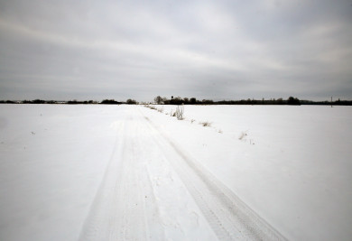 Прогноз погоды в Воронеже на четверг, 8 февраля