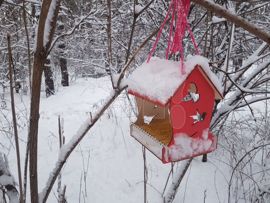 Песни над доном верхний мамон. Верхний мамон воронежская область. Прогноз погоды мамон воронежская. Прогноз погоды мамон воронежская. Pogoda воронеж.
