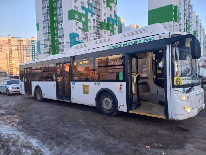 Автобус сбил 13-летнюю девочку на пешеходном переходе в Воронеже