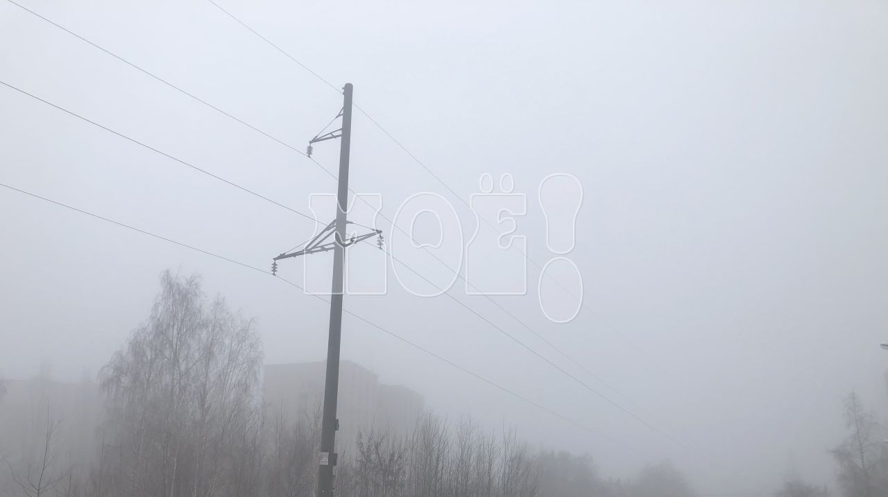 Жителей Воронежской области предупредили о&nbsp;тумане