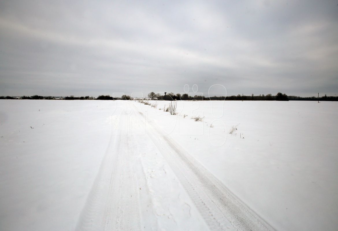 Рекордно высокую температуру зафиксировали в&nbsp;Воронеже