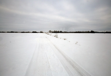 Рекордно высокую температуру зафиксировали в Воронеже