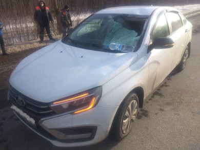 Глыба льда пробила лобовое стекло машины в Воронежской области — есть пострадавший
