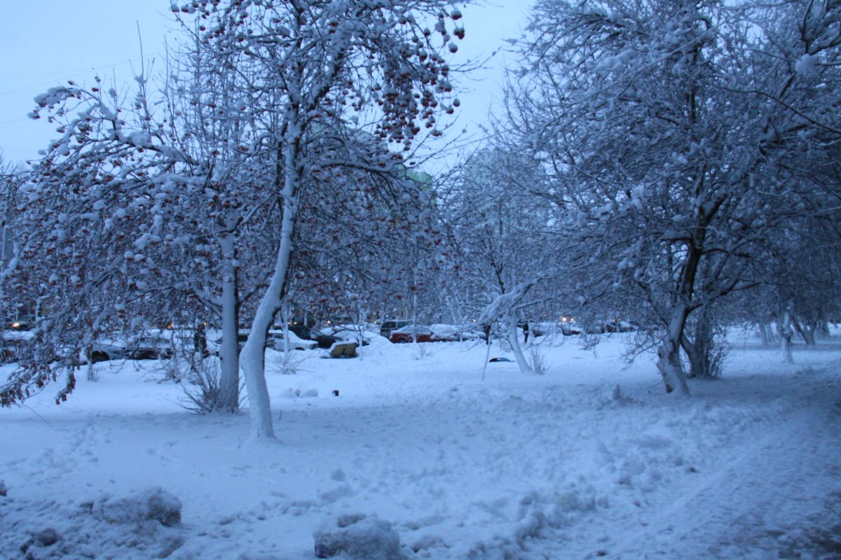 Воронежцам пообещали тёплую погоду на&nbsp;праздниках