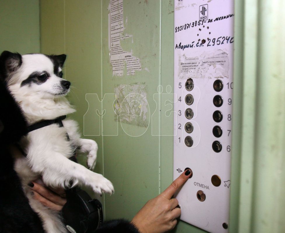 Большую часть взносов воронежцев на&nbsp;капремонт потратят на&nbsp;замену лифтов. Нужно ли это?