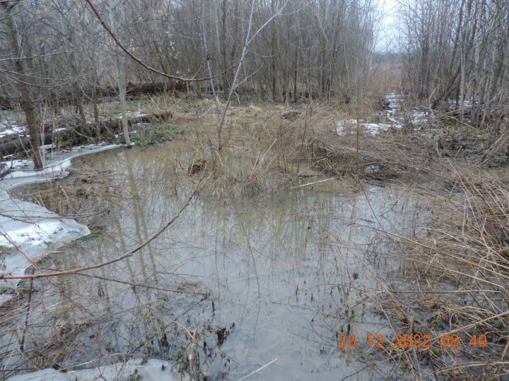 Воронежскую УК оштрафовали на миллионы рублей за зловонную речку, затопившую лес