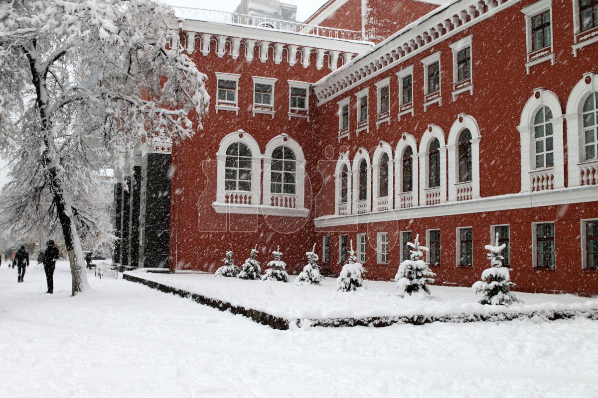 Светофоры на оживлённой улице Воронежа погаснут на&nbsp;несколько часов