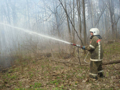 Ландшафтные пожары разгорелись в Воронежской области 