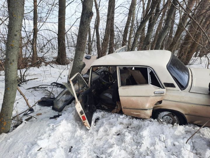 Пьяный водитель на «Жигулях» вылетел с дороги и врезался в дерево в Воронежской области