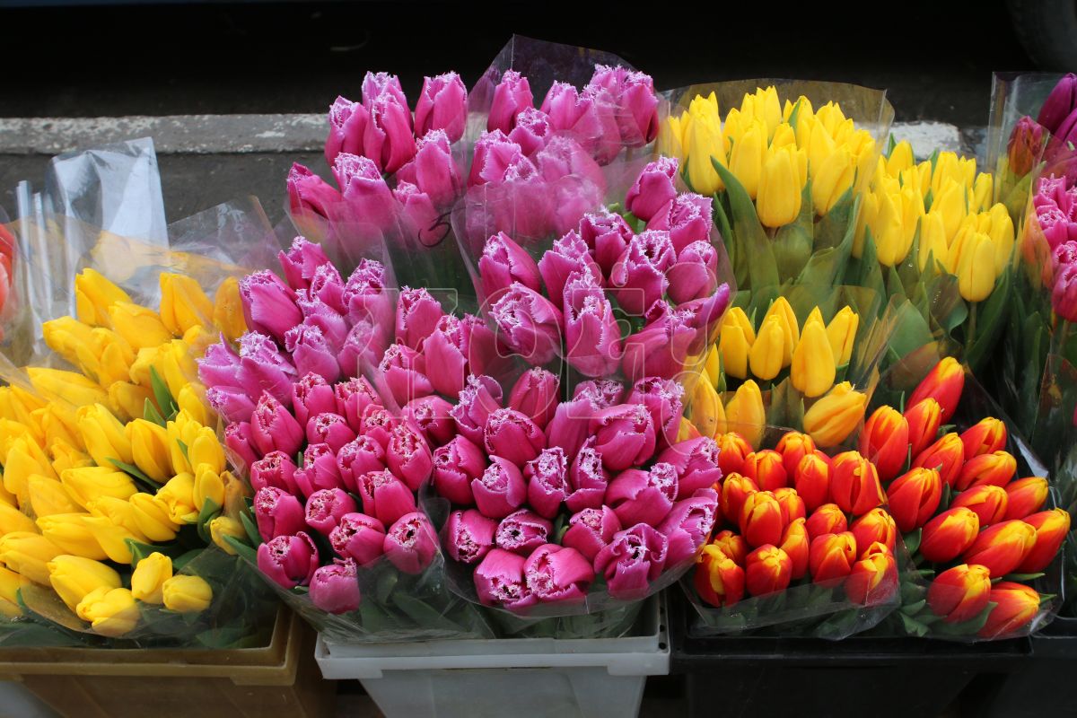 Короткая рабочая неделя ждёт воронежцев