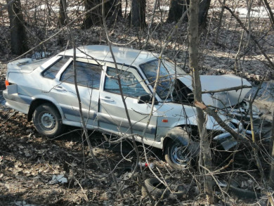 Водитель вылетел в кювет и врезался в дерево в Воронежской области — его госпитализировали