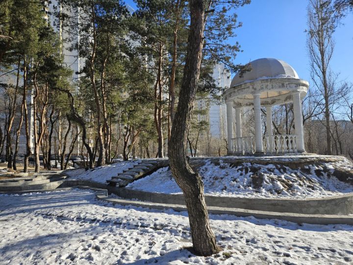 Потепление до +8° нагрянет в Воронеж после морозов