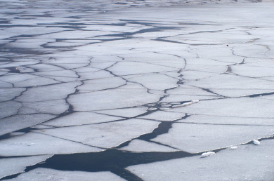 Прогноз погоды в Воронеже на воскресенье, 17 марта