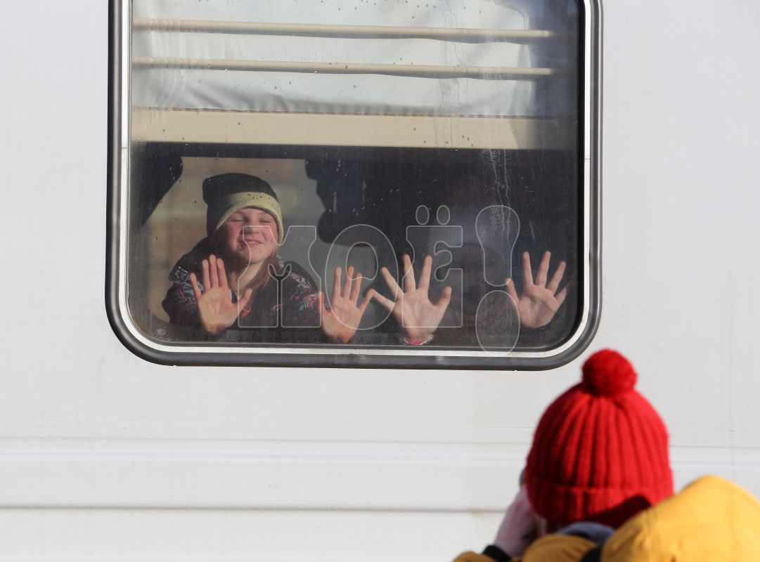 Десятки женщин с&nbsp;детьми вывезут из-под обстрелов в&nbsp;Воронежскую область