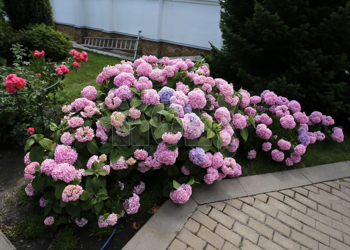 <p>Заставочное фото</p>