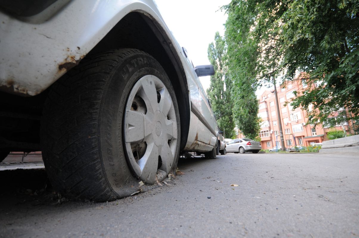 <p>Заставочное фото</p>