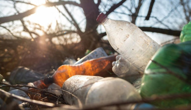 Девять незаконных свалок обнаружили в Воронежской области