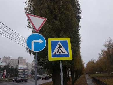 Новый пешеходный переход появится в центре Воронежа