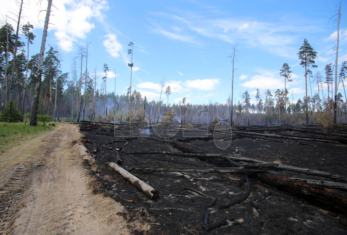 Заставочное фото&nbsp;