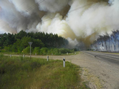 Воронежцев предупредили о средней степени пожарной опасности в регионе
