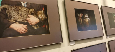 Выставка известного фотографа, посвящённая котам из умирающих хуторов, открылась в Воронеже