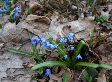 Погода в Воронеже на субботу, 6 апреля