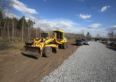 Воронежцы забили тревогу из-за вырубки леса для разработки карьера