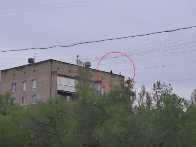 Воронежцев напугали дети, которые дёргали провода на краю крыши многоэтажки
