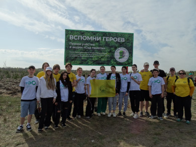 Под Воронежем посадили 25 тысяч сеянцев в память о погибших в ВОВ
