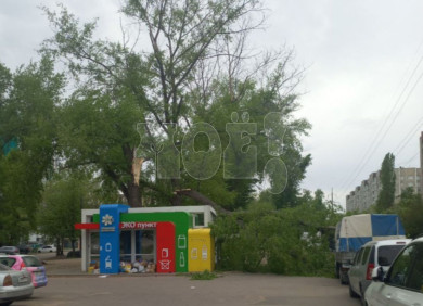 Почти два десятка деревьев рухнули в Воронеже из-за сильного ветра