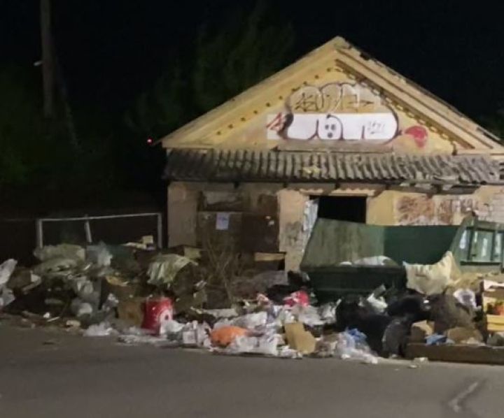 «Утопили город в мусоре»: воронежский депутат раскритиковал работу «Экотехнологий»