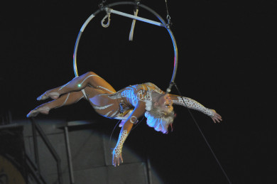 Воронежский цирк закрыли на четыре года