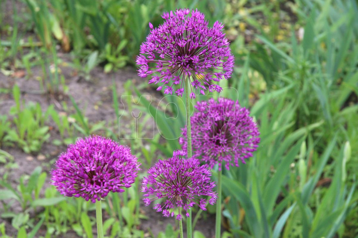 Похолодание до +1° нагрянет в Воронеж