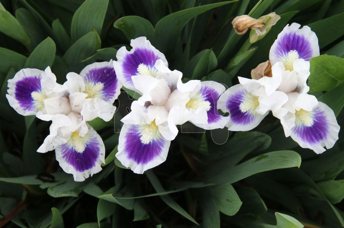 Прогноз погоды в&nbsp;Воронеже на&nbsp;четверг, 2 мая