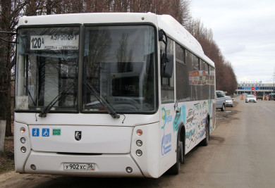 Воронежцев предупредили об изменении маршрутов пригородных автобусов