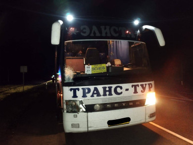 Рейсовый автобус насмерть сбил пешехода на трассе в Воронежской области